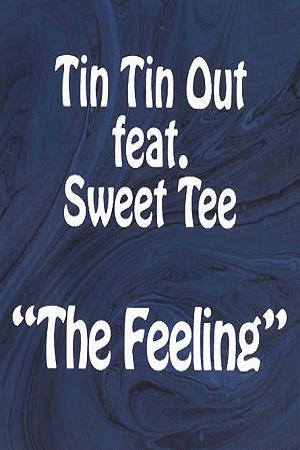 Tin Tin Out feat. Sweet Tee: The Feeling